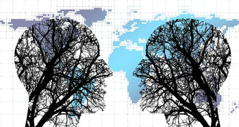 米兰体育网址-体育新闻中心协同多方建立体育内容风控机制，体育新闻机构