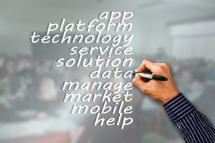 米兰体育app-瑞典队未来：如何建立更具竞争力的国际品牌，瑞典队分析