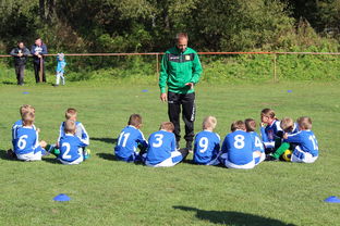 米兰足球官网-欧洲杯总冠军之争：战术智慧与个人能力的较量，欧洲杯冠军百度百科