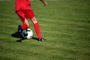 米兰体育官方下载-CBA是否推动裁判培训与国际接轨的认证体系,cba裁判资格